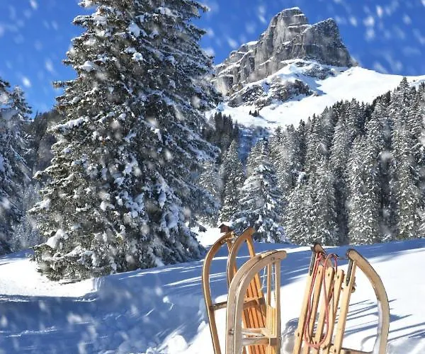 Apartman Verbena 4 By Interhome Davos